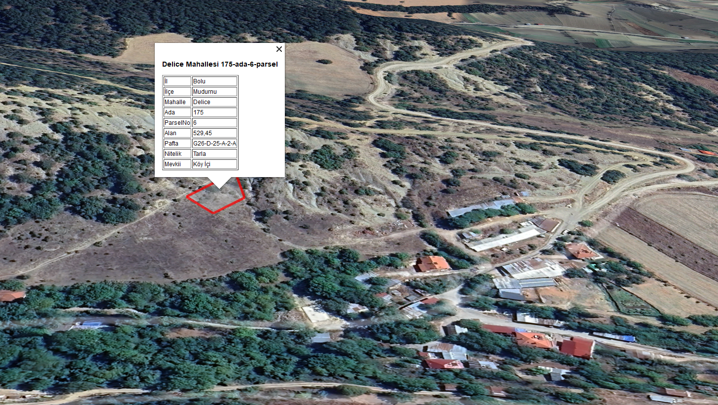 Mudurnu Delice Köyünde Köy İçi 529 M2 Tarla