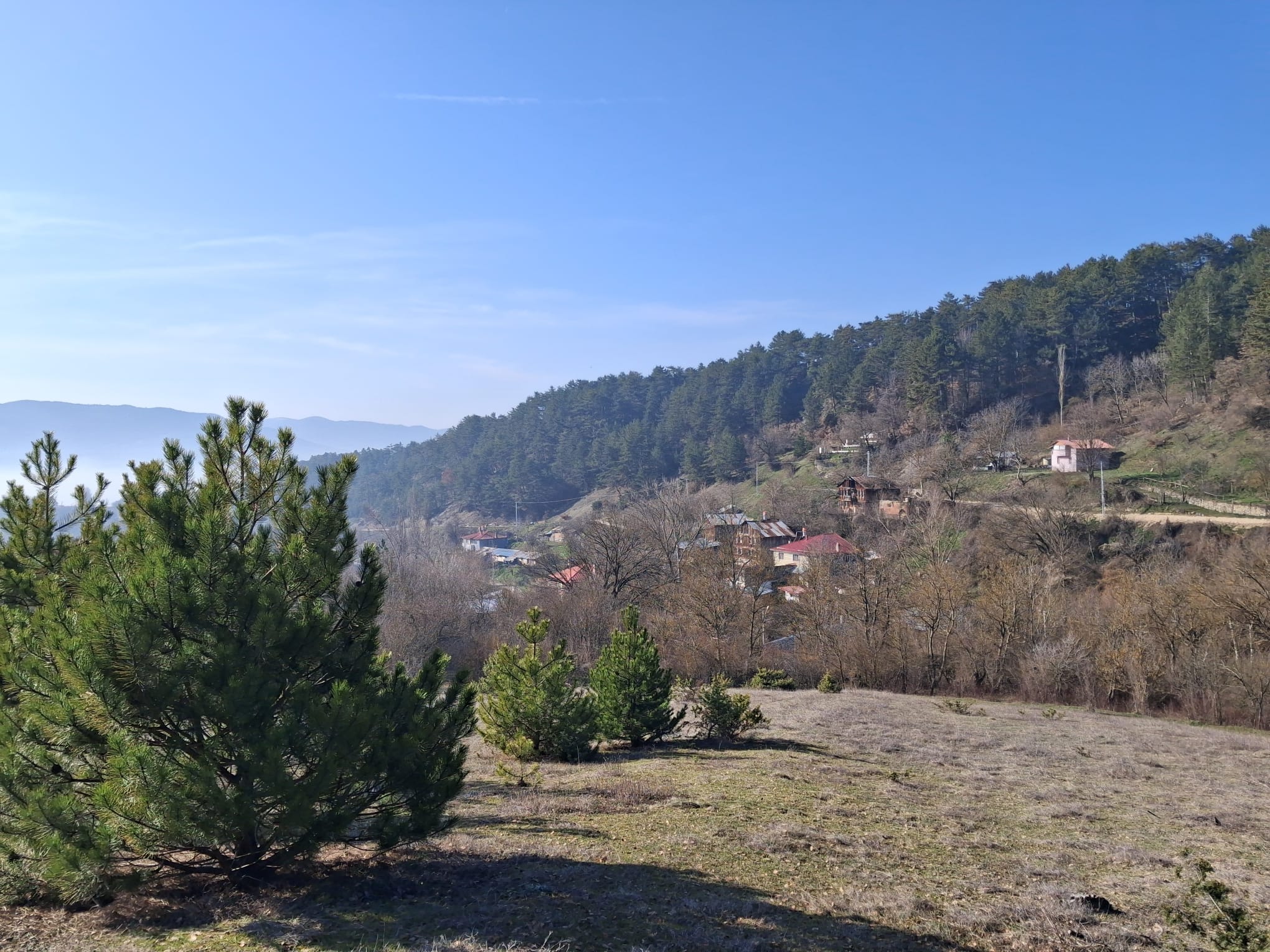 Mudurnu Delice Köyünde Köy İçi 529 M2 Tarla