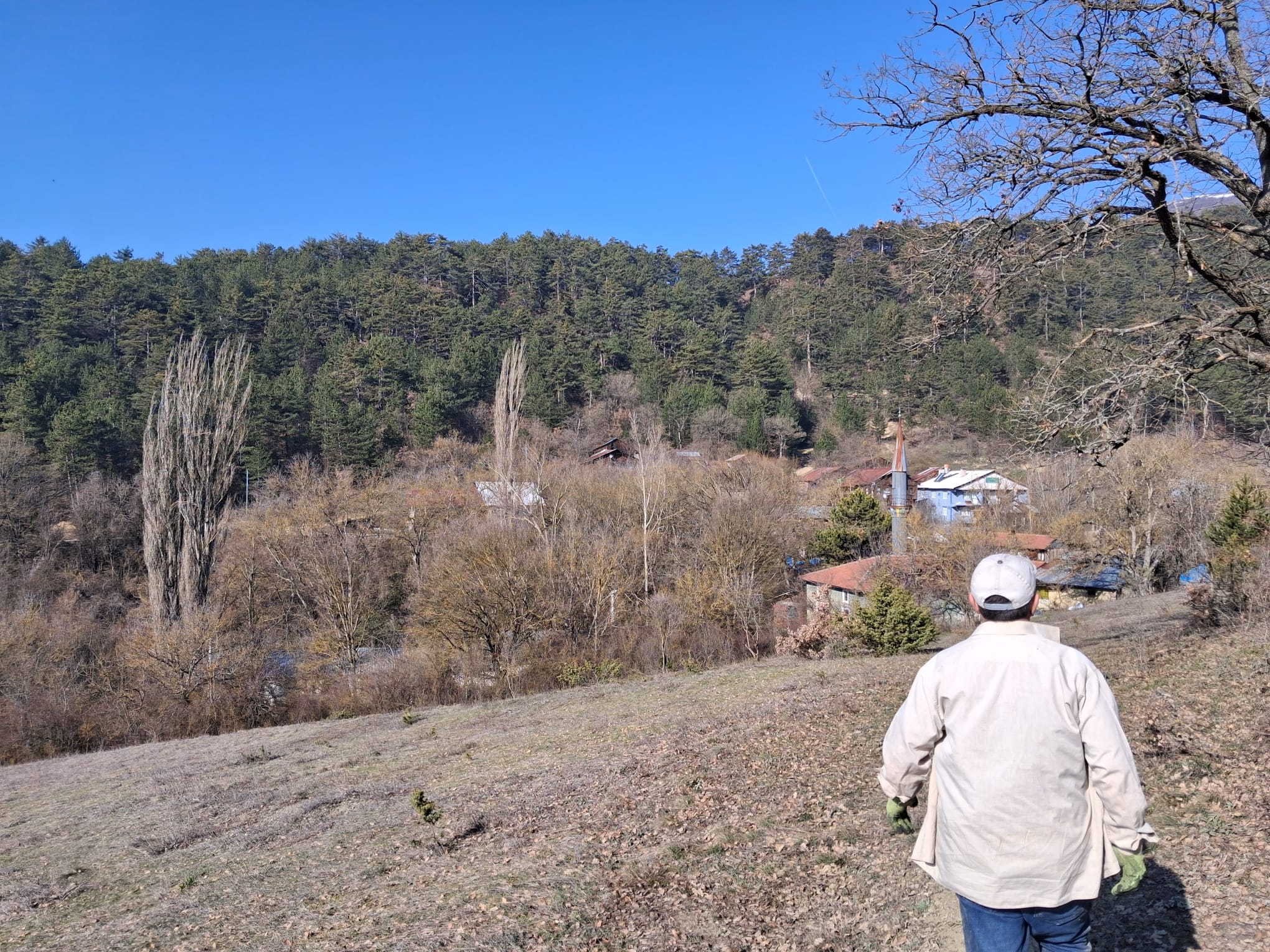 Mudurnu Delice Köyünde Köy İçi 529 M2 Tarla