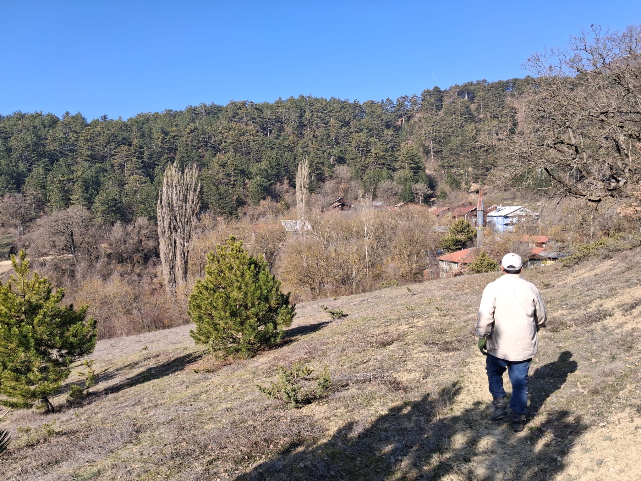 Mudurnu Delice Köyünde Köy İçi 529 M2 Tarla