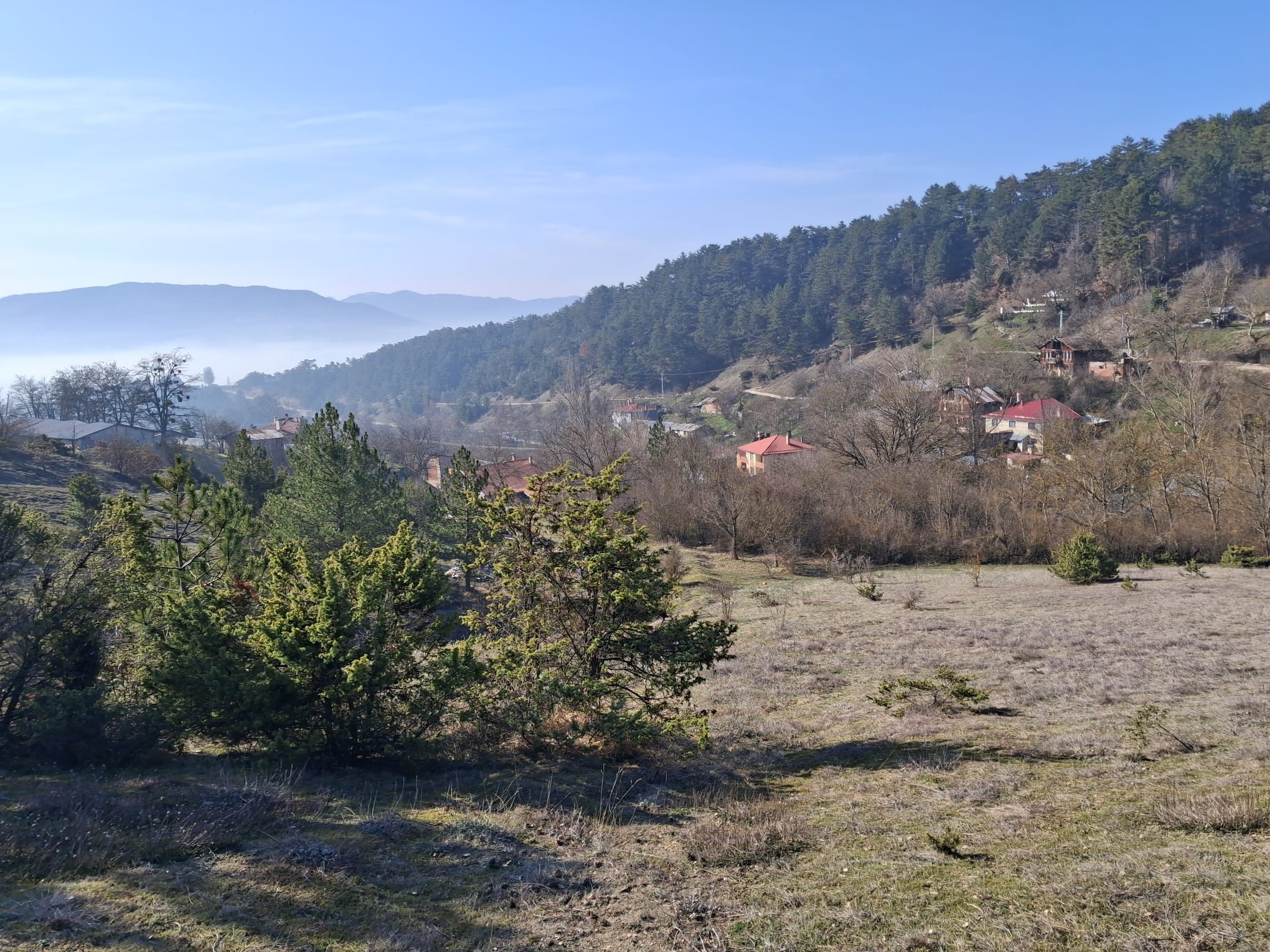 Mudurnu Delice Köyünde Köy İçi 529 M2 Tarla