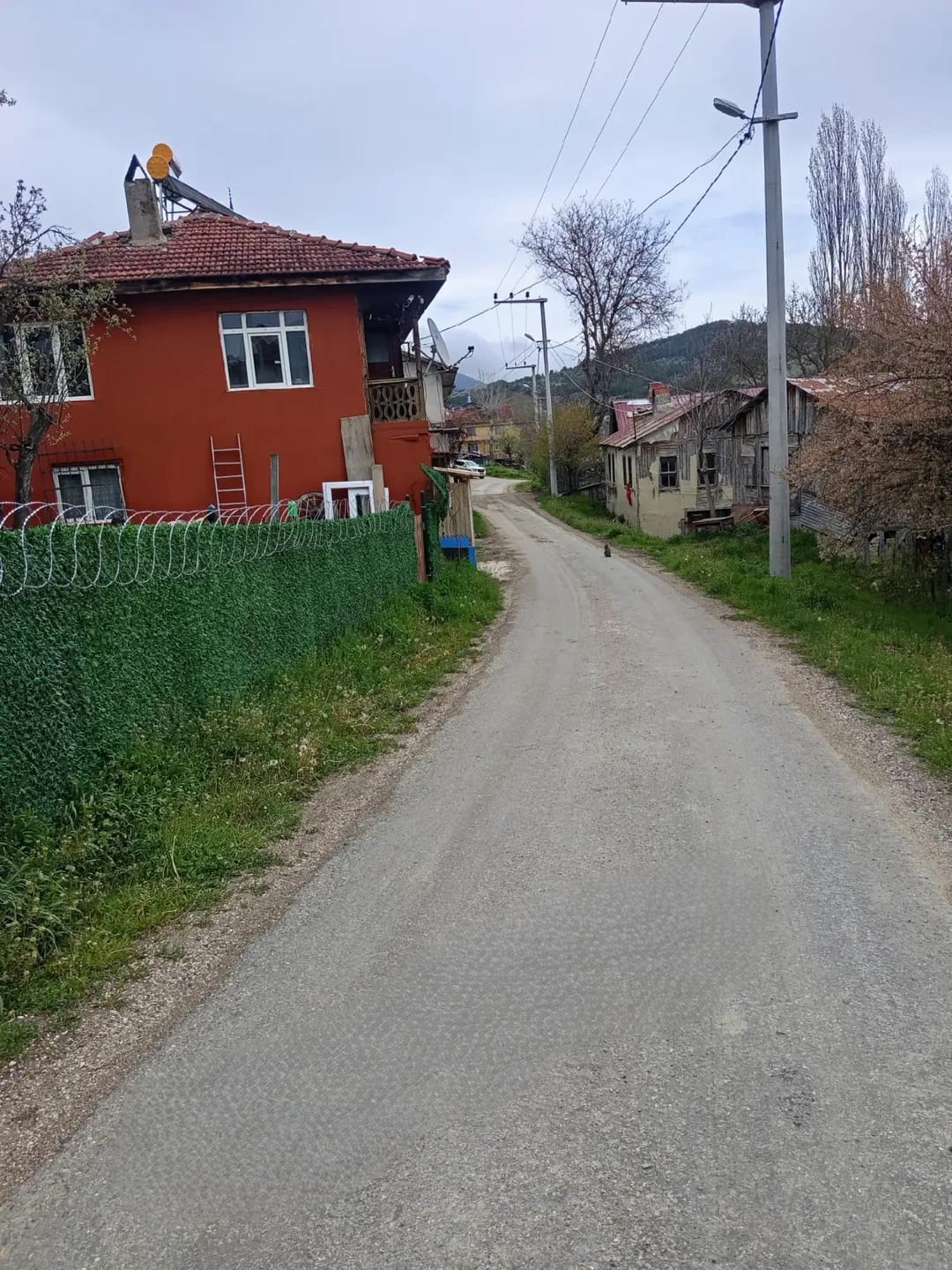 İlan Görseli