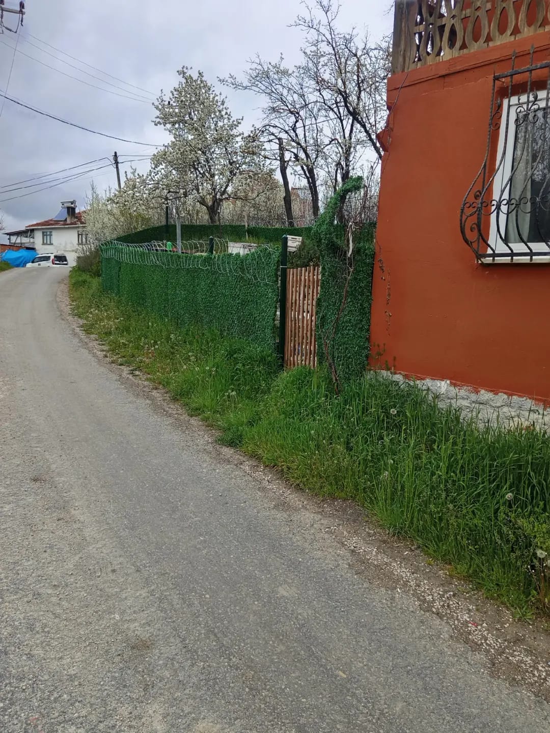 İlan Görseli