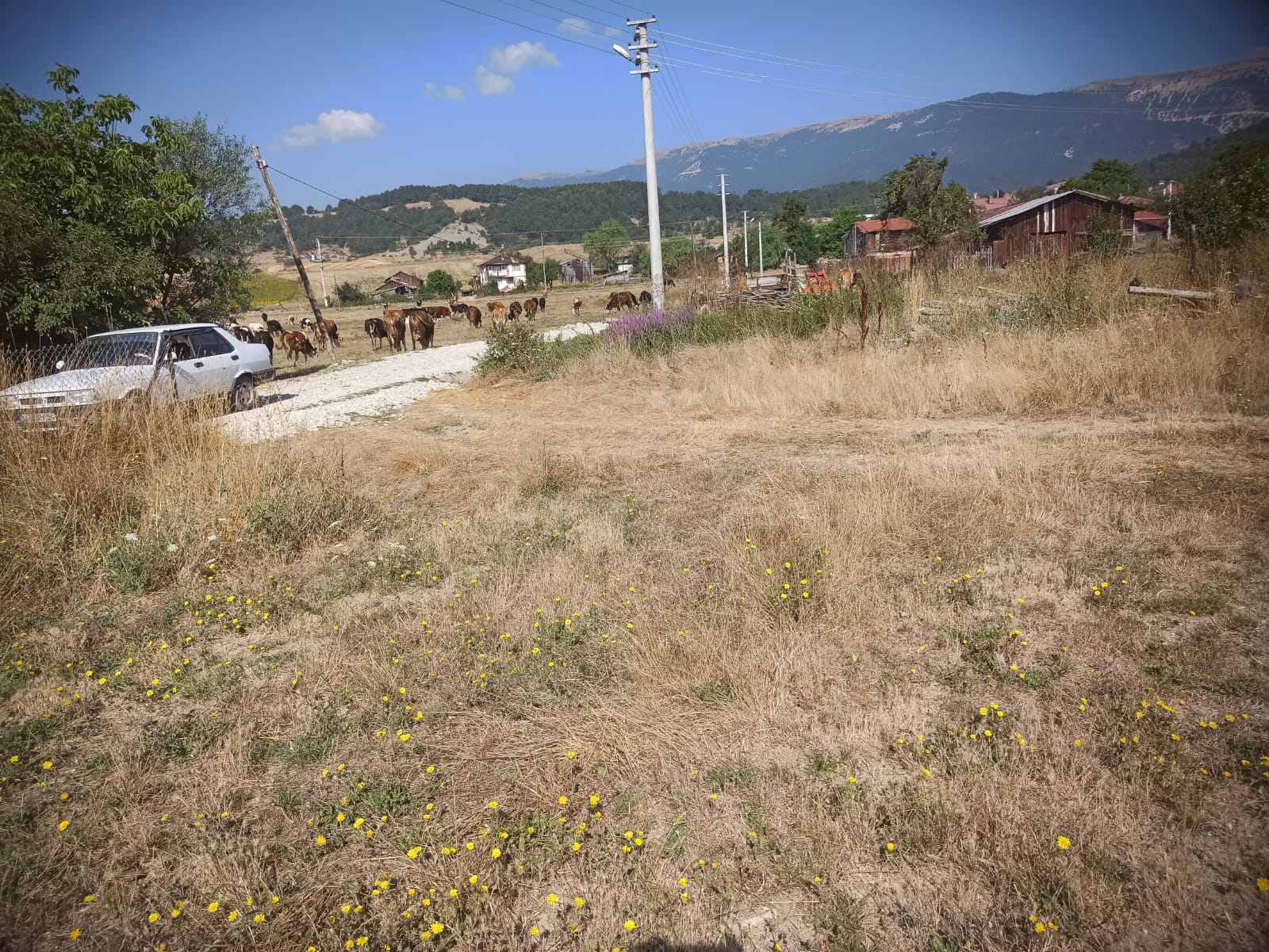 İlan Görseli