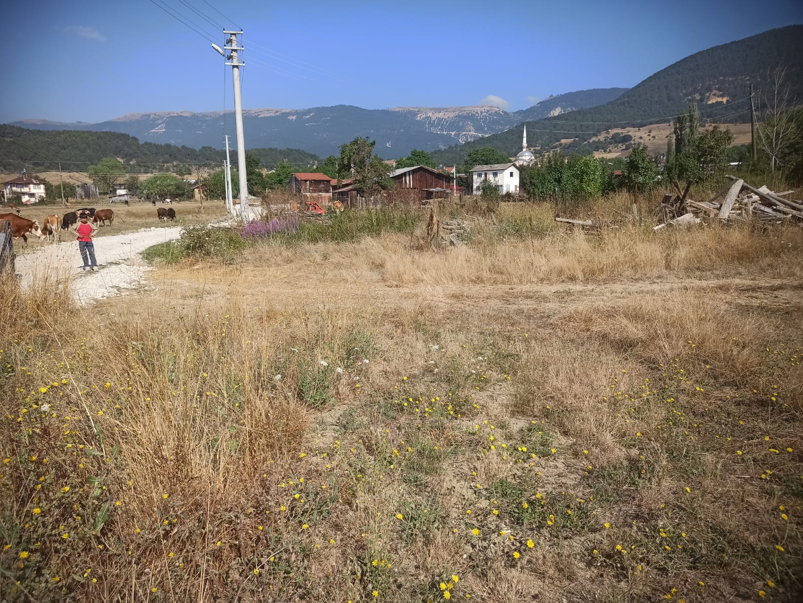 İlan Görseli