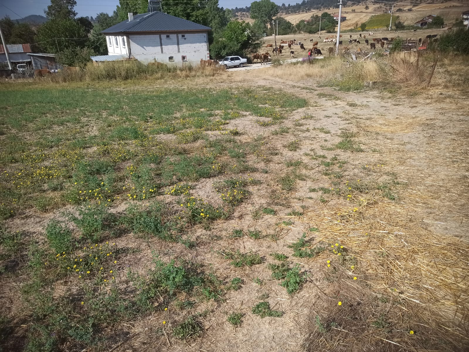 İlan Görseli